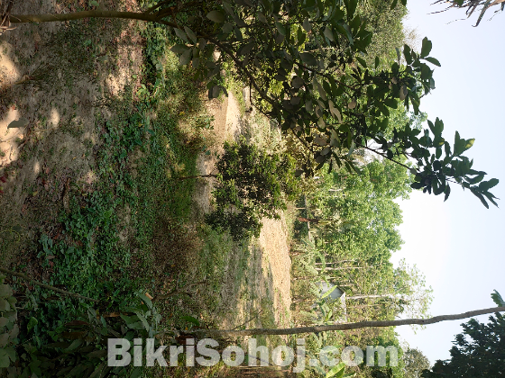 জমি বিক্রি হবে